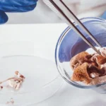 A Beginner’s Guide to Psychedelic Science