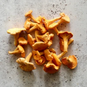 Buy African Kobe Magic Mushrooms