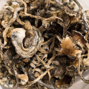 Buy Blue Meanies Mushrooms Online