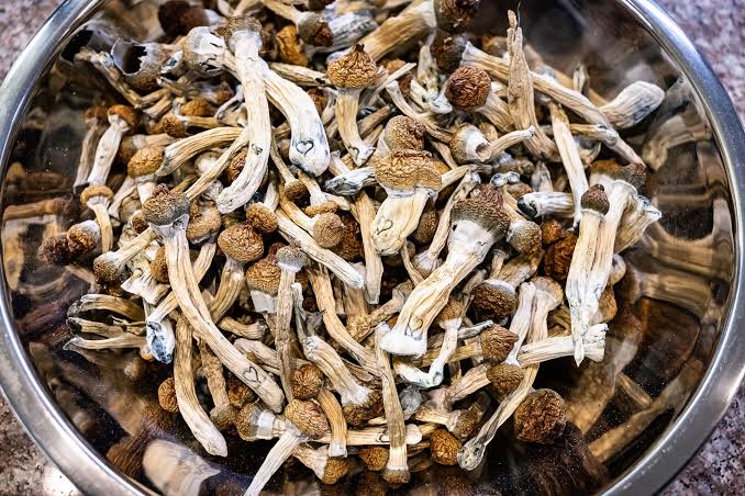 Buy Creature Magic Mushrooms Online