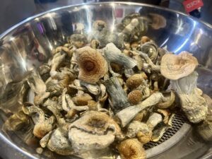 Buy Golden Teacher Mushrooms