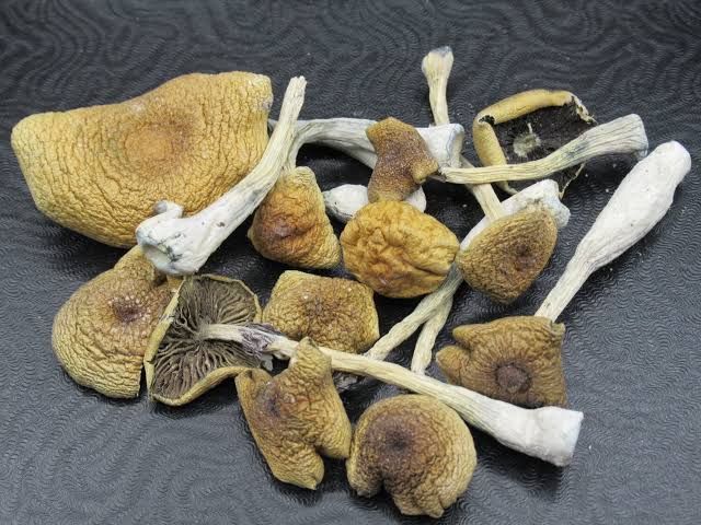 Buy Jedi Mind Fuck Magic Mushrooms