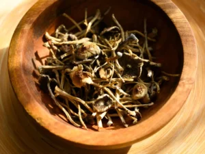 Buy Liberty Caps Mushroom Online