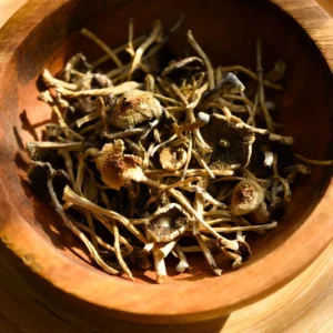 Buy Liberty Caps Mushroom Online