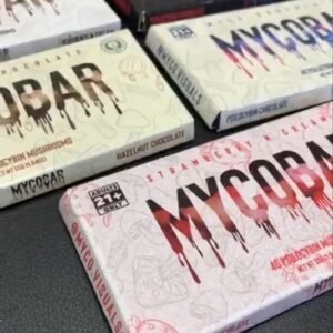 Buy Mycobar Mushroom Chocolate