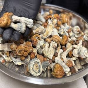 Buy Penis Envy Mushrooms Online