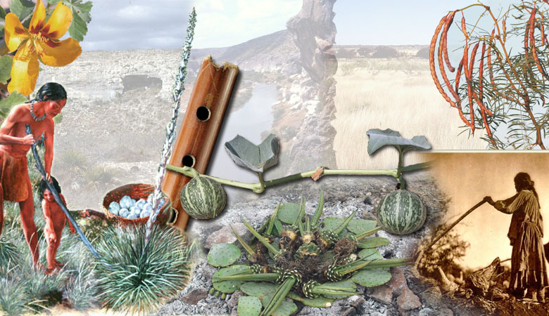 Read more about the article Ethnobotany and Indigenous Plant Knowledge