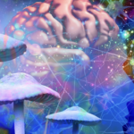 How Psychedelic Research Is Conducted