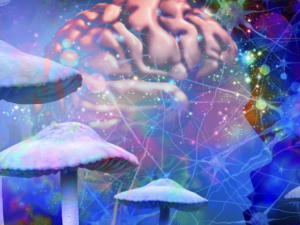 How Psychedelic Research Is Conducted