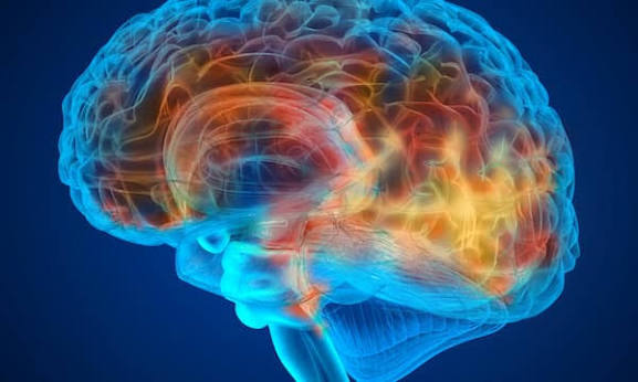 You are currently viewing How Psychedelics Interact With the Nervous System