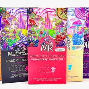 Buy Magic Kingdom Milk Chocolate