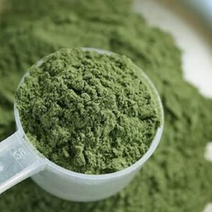 Buy Mescaline powder Online (200mg)