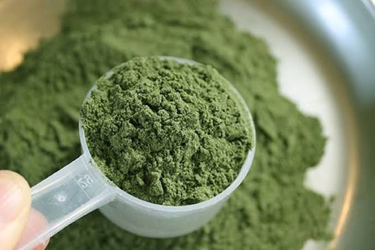 Buy Mescaline powder Online (200mg) - Image 2