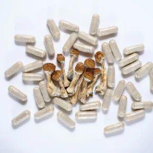 Buy Microdose capsules Online |  (A bottle contain 30) capsules (100mg)