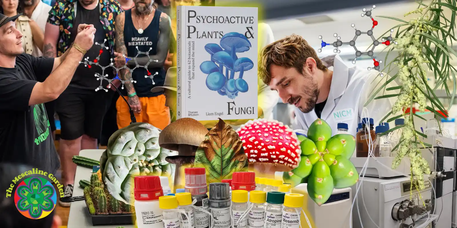Read more about the article Natural Psychoactive Plants Around the World