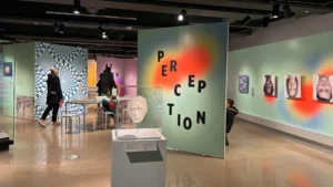 Read more about the article The Neuroscience of Perception