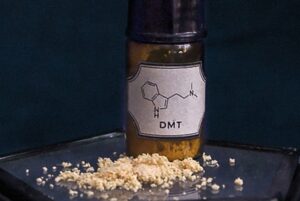 Read more about the article Understanding DMT
