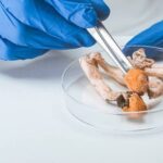 Understanding Peer Review