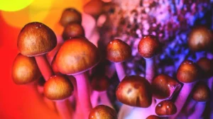 Read more about the article What Are Psychedelics?