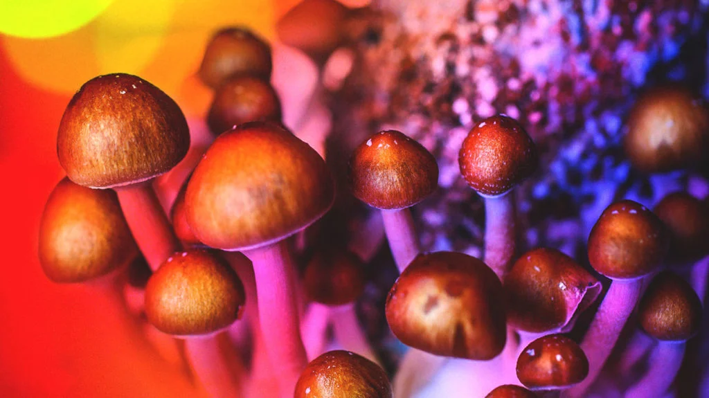 You are currently viewing What Are Psychedelics?