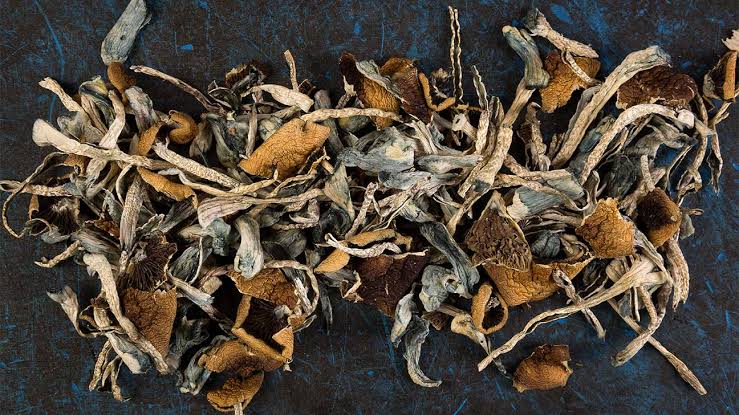 hawaiian magic mushrooms Online
